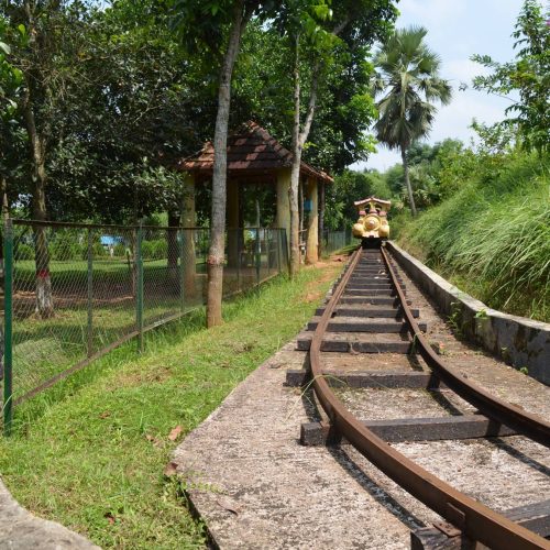 507513456_9960091594082110_6445974969860120085_n